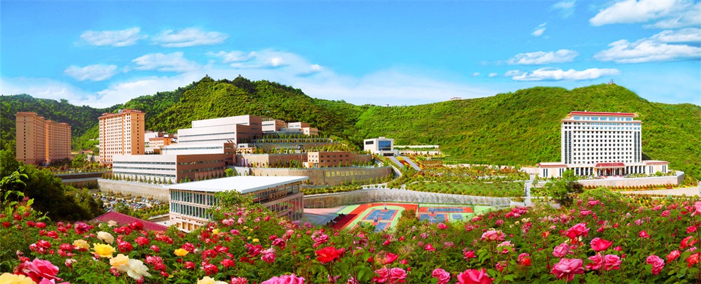 三季有花、四季常青的金徽礦區(qū)-p2.jpg
