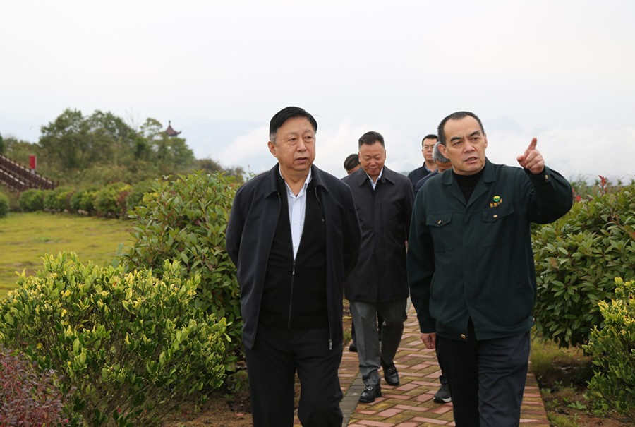 19-2021年10月，原國(guó)土資源部副部長(zhǎng)汪民蒞臨公司調(diào)研。.jpg