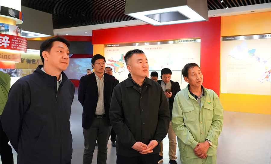 10.4-2024年04月，自然資源部礦保司副司長(zhǎng)王博蒞臨公司調(diào)研。.jpg