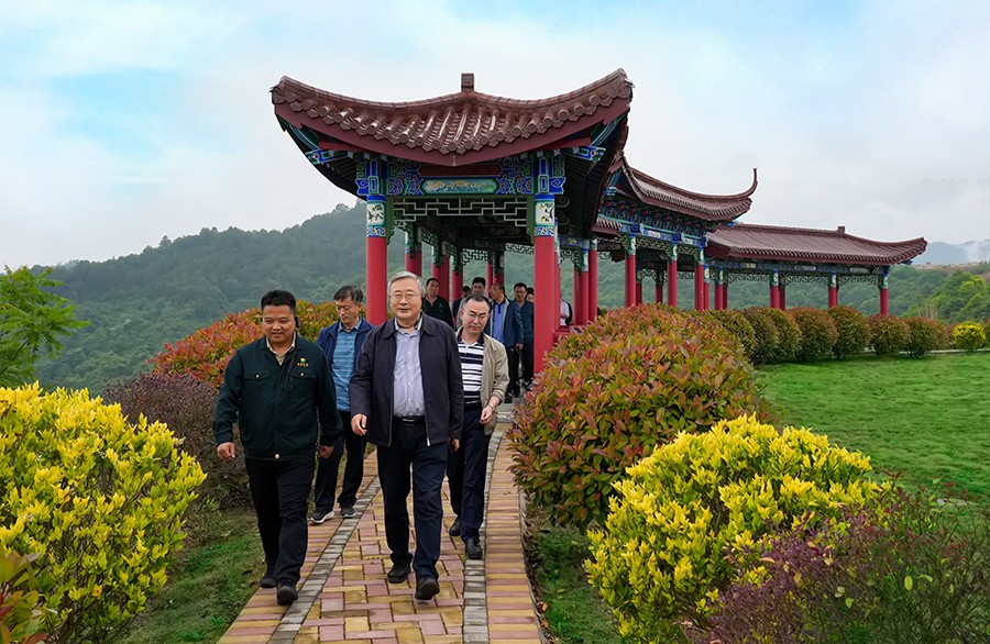 49-2022年5月，省工信廳副廳長(zhǎng)王海峰一行蒞臨金徽股份調(diào)研綠色礦山建設(shè)工作。.jpg