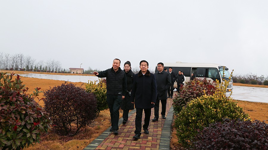 45-2020年12月，省高級(jí)人民法院黨組成員、副院長(zhǎng)任建國(guó)蒞臨金徽股份調(diào)研知識(shí)產(chǎn)權(quán)司法保護(hù)工作。.jpg